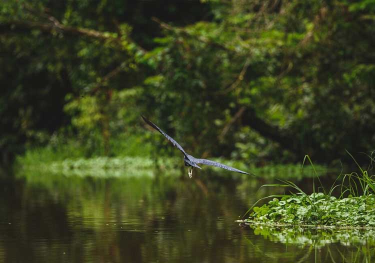 book-now-Kumarakom tour